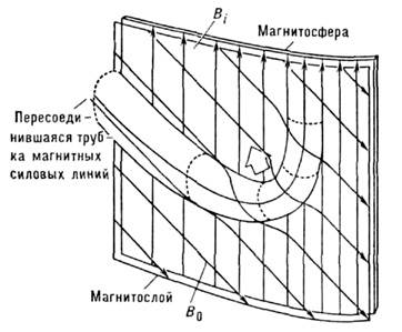 15044-14.jpg